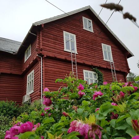 Haugtun Gardspensjonat Og Leiligheter Nordre Land Extérieur photo